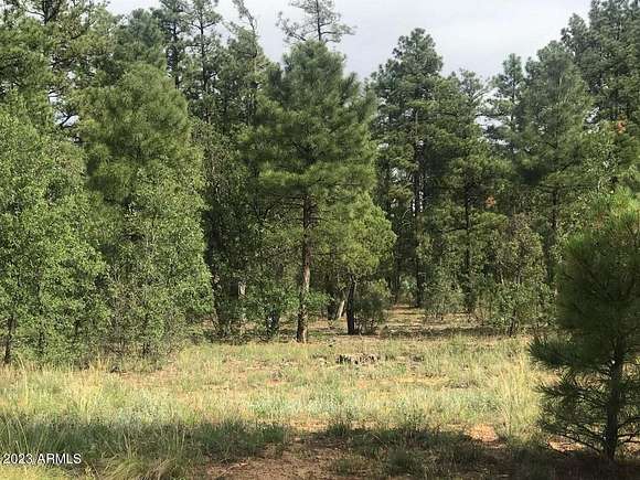 4.5 Acres of Commercial Land for Sale in Show Low, Arizona