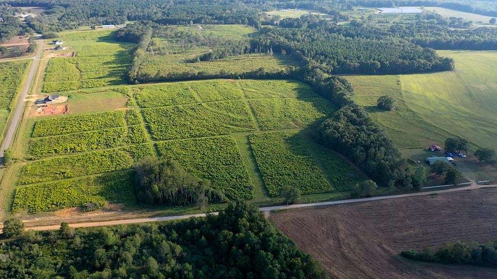 5.4 Acres of Residential Land for Sale in New Brockton, Alabama