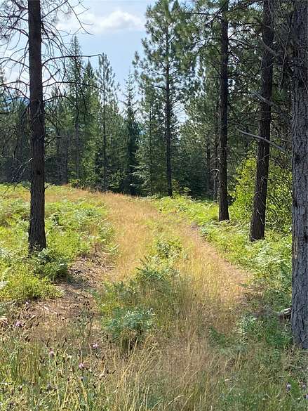 8 Acres of Land for Sale in Troy, Montana