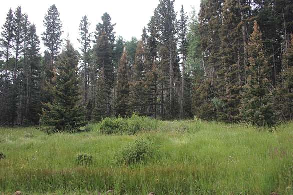 15.3 Acres of Recreational Land for Sale in Black Lake, New Mexico