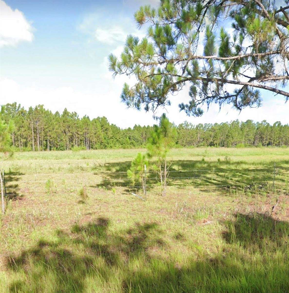 3.8 Acres of Residential Land for Sale in Polk City, Florida