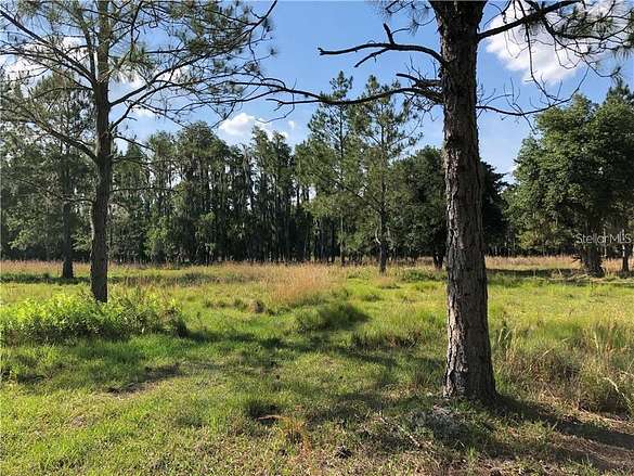 11 Acres of Land for Sale in Thonotosassa, Florida