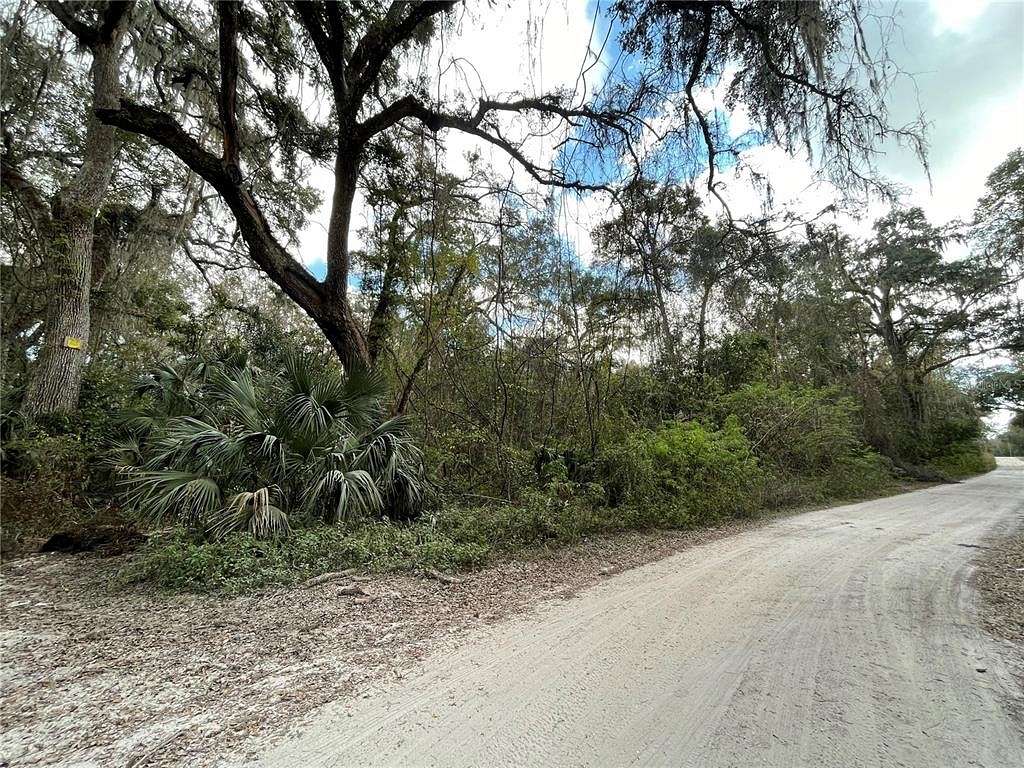5.6 Acres of Residential Land for Sale in Anthony, Florida