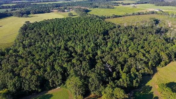 1.5 Acres of Residential Land for Sale in New Brockton, Alabama