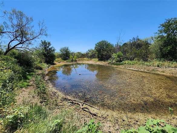 133 Acres of Recreational Land for Sale in Santa Anna, Texas