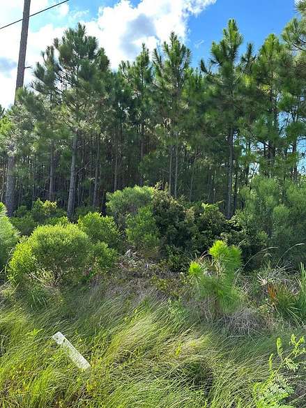 1 Acre of Residential Land for Sale in Eastpoint, Florida