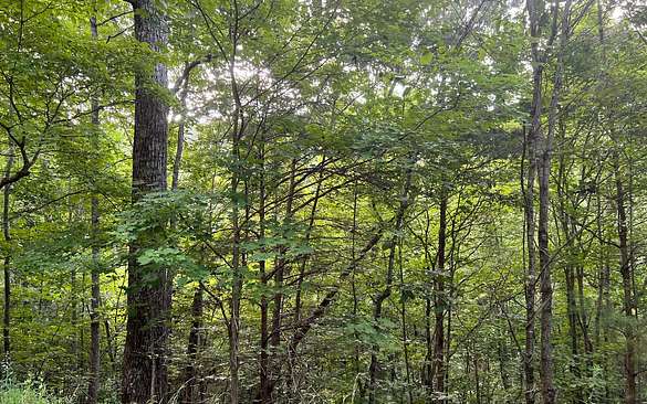 1.9 Acres of Land for Sale in Brasstown, North Carolina