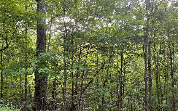 1.89 Acres of Land for Sale in Brasstown, North Carolina