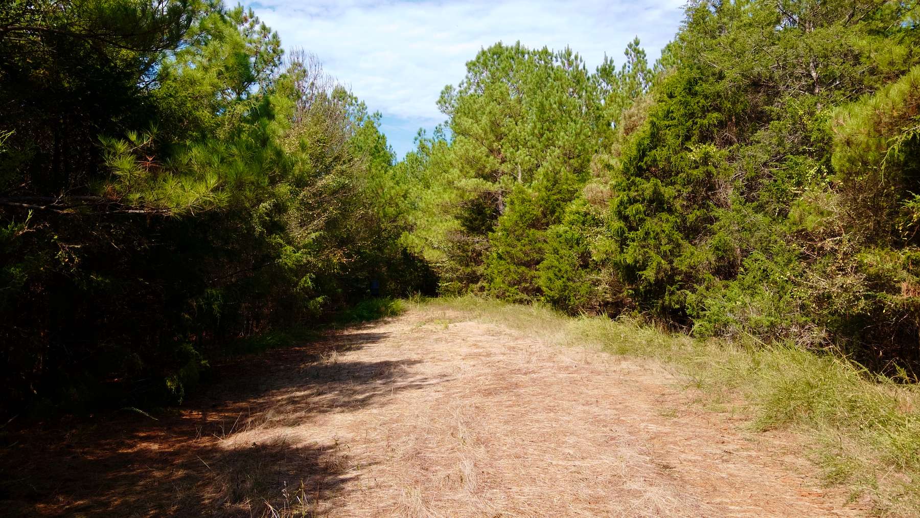 206 Acres of Recreational Land for Sale in Chester, South Carolina