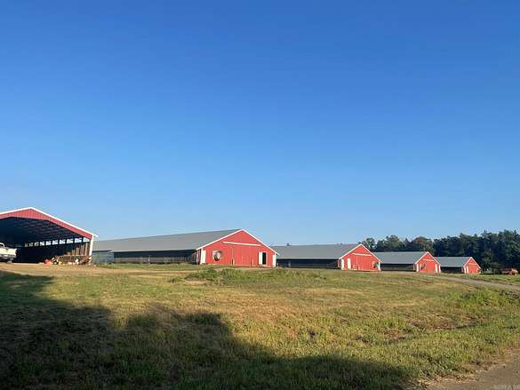 18.8 Acres of Land for Sale in Hatfield, Arkansas