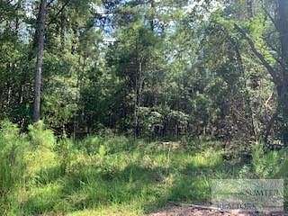 0.7 Acres of Residential Land for Sale in Santee, South Carolina