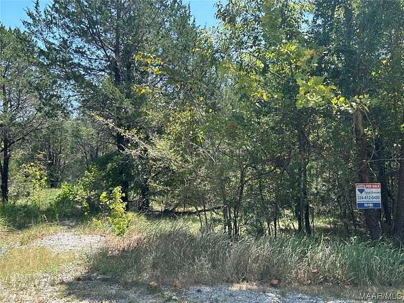 6.9 Acres of Residential Land for Sale in Catherine, Alabama