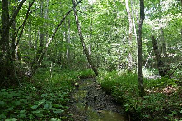 188 Acres of Recreational Land for Sale in Keokee, Virginia