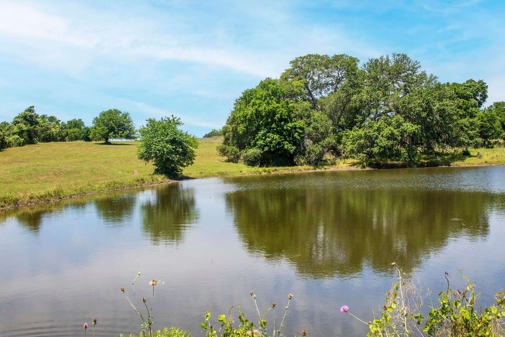 117.52 Acres of Recreational Land & Farm for Sale in Schulenburg, Texas