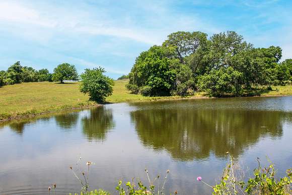 117.52 Acres of Recreational Land & Farm for Sale in Schulenburg, Texas