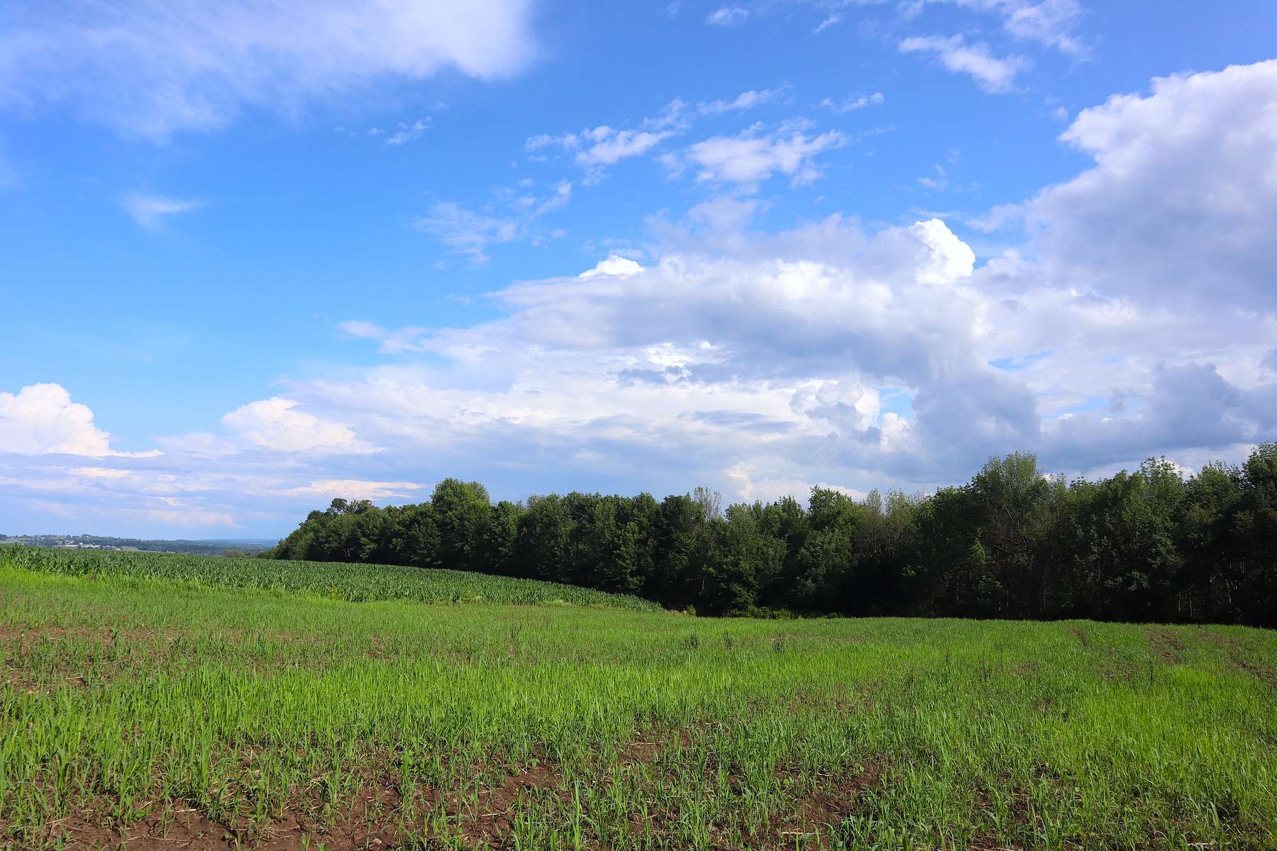 238 Acres of Recreational Land & Farm for Sale in Fort Plain, New York