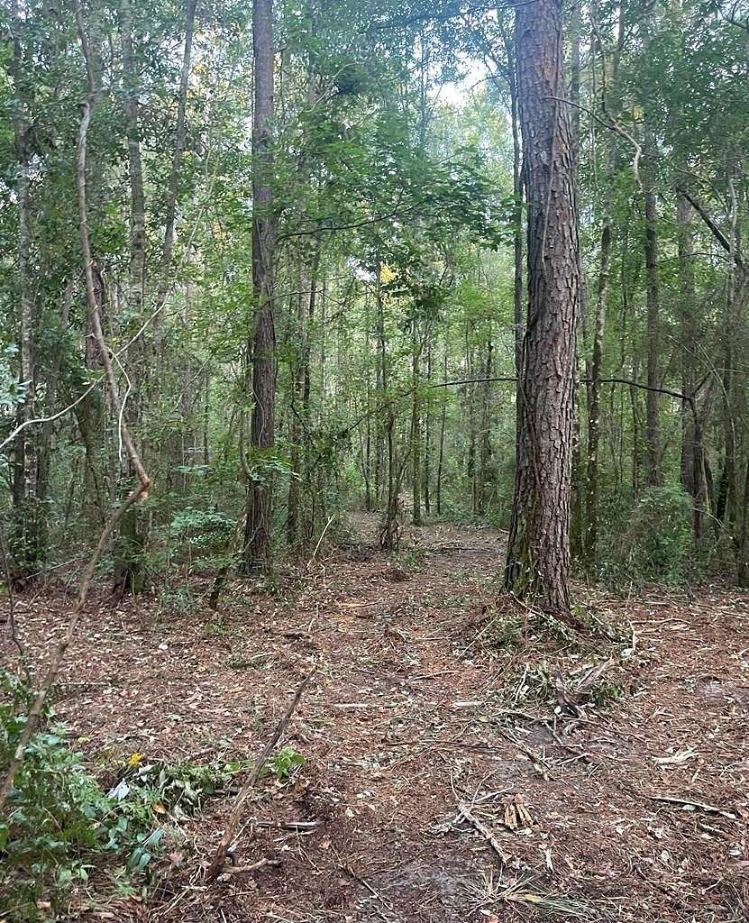 4 Acres of Residential Land for Sale in Poplarville, Mississippi