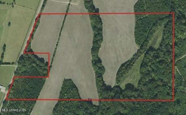 60.3 Acres of Land for Sale in Raymond, Mississippi