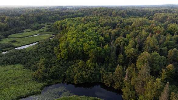 275 Acres of Recreational Land for Sale in Prentice, Wisconsin