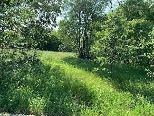 2 Acres of Residential Land for Sale in Stacy, Minnesota
