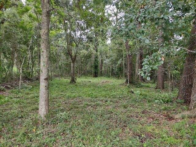 Commercial Land for Sale in Mandeville, Louisiana