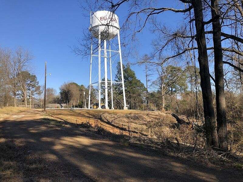 15.6 Acres of Land for Sale in Eupora, Mississippi