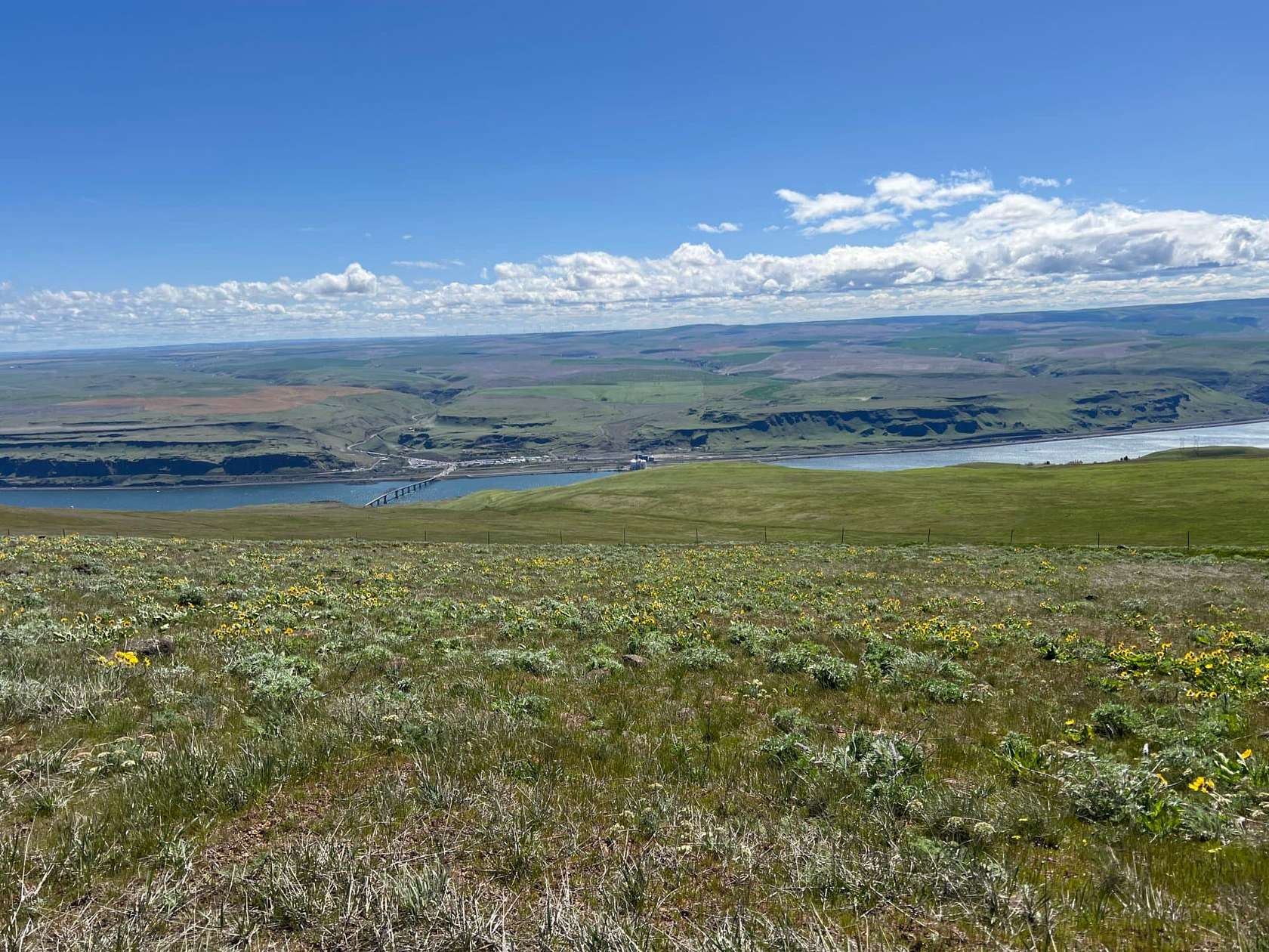 3,029 Acres of Land for Sale in Goldendale, Washington