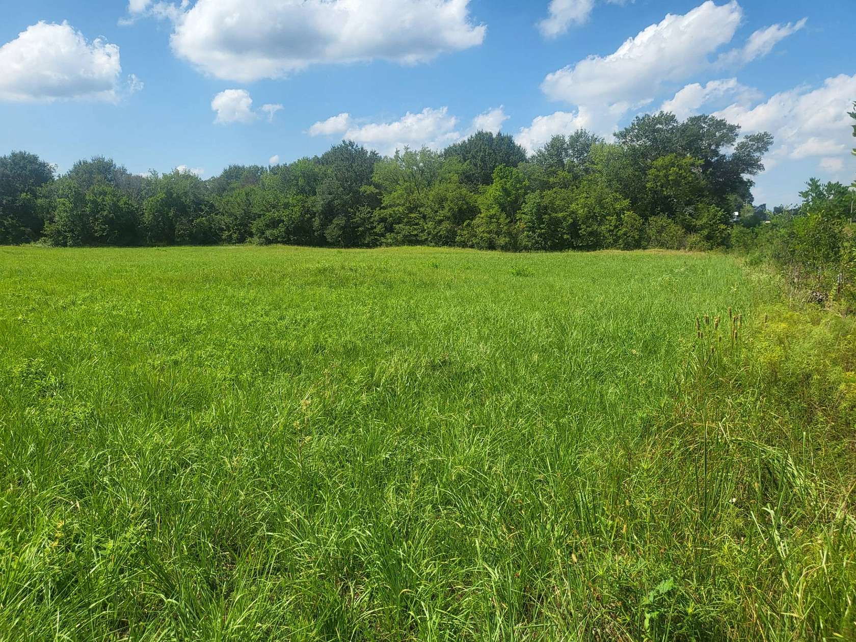 10 Acres of Agricultural Land for Sale in Albion, Oklahoma