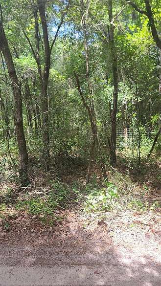 1.3 Acres of Residential Land for Sale in Dunnellon, Florida