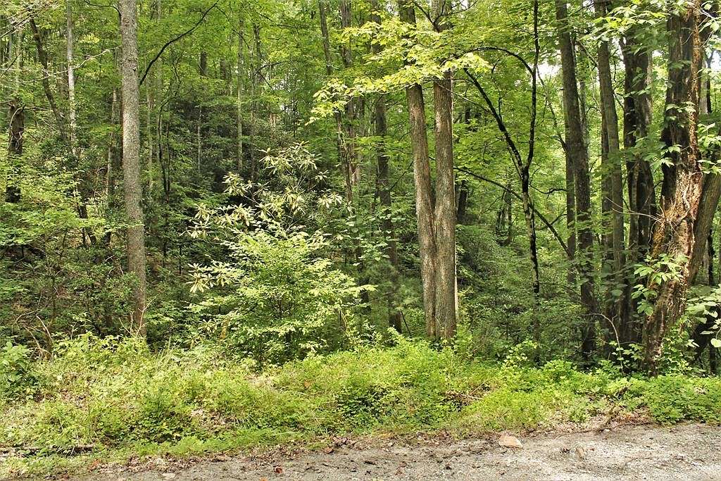 7 Acres of Land for Sale in Bryson City, North Carolina