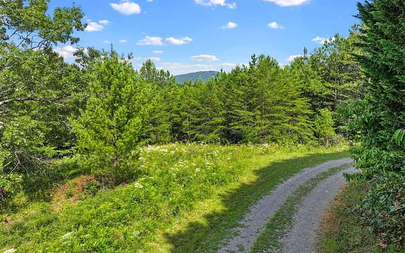 0.93 Acres of Land for Sale in Mineral Bluff, Georgia