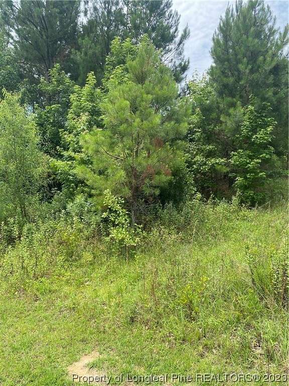 0.44 Acres of Residential Land for Sale in Raeford, North Carolina