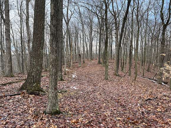 610 Acres of Recreational Land & Farm for Sale in Harrisville, West Virginia