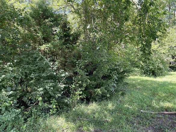 Residential Land for Sale in Sedalia, Missouri