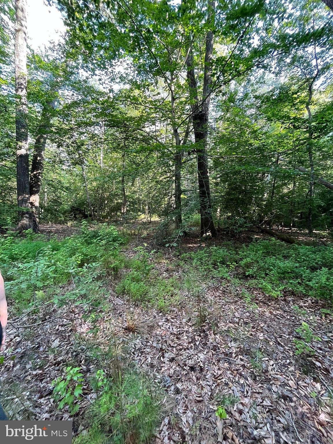 8 Acres of Residential Land for Sale in Leonardtown, Maryland