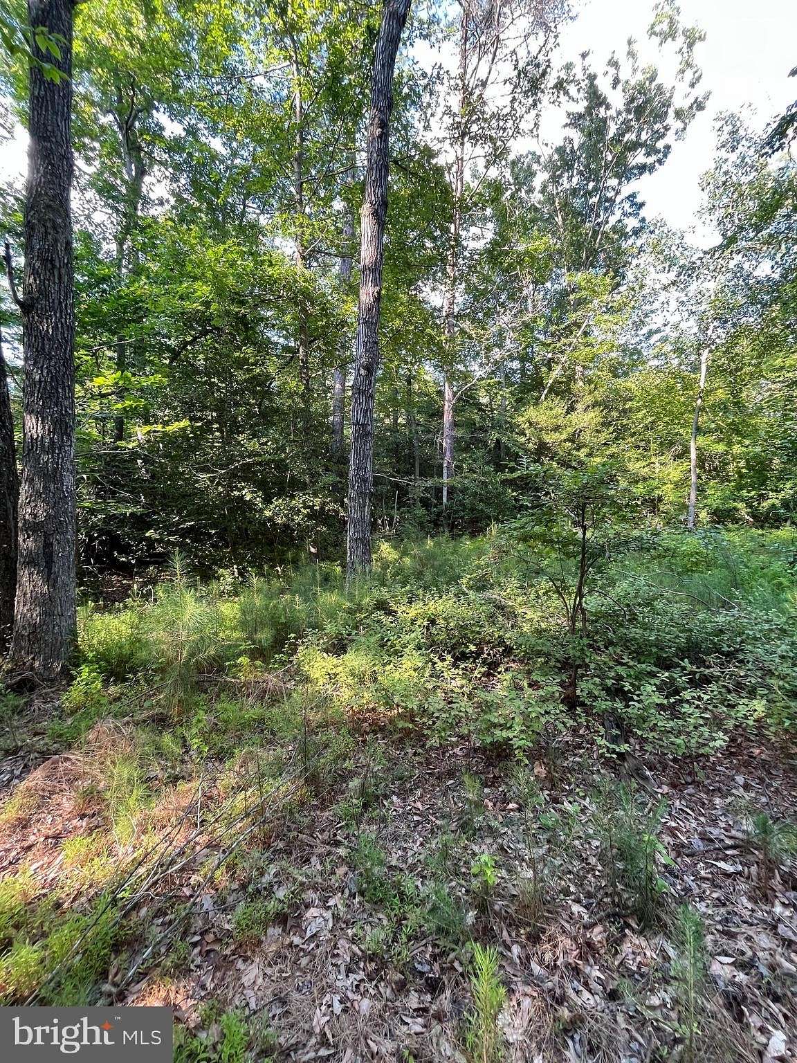 5 Acres of Residential Land for Sale in Leonardtown, Maryland