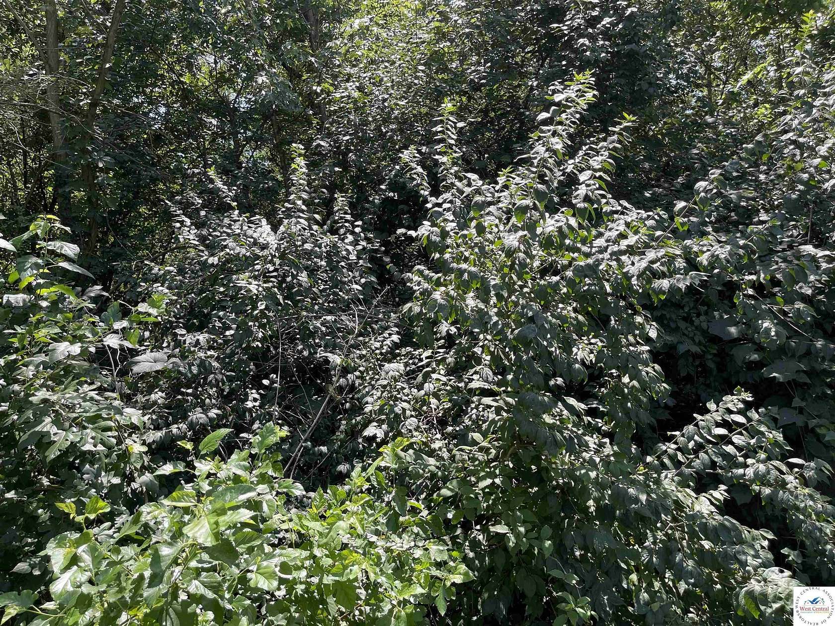 0.2 Acres of Land for Sale in Sedalia, Missouri