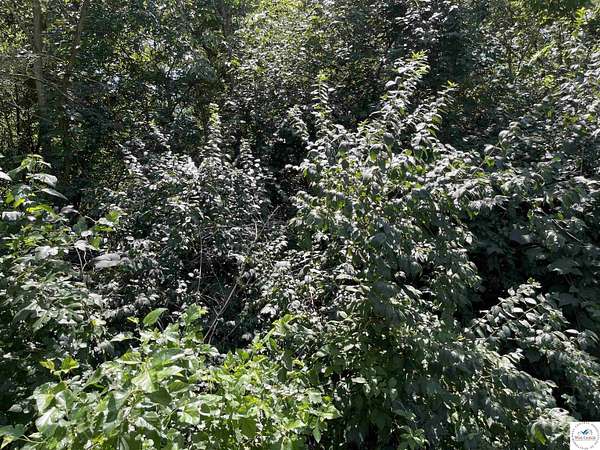 0.2 Acres of Land for Sale in Sedalia, Missouri