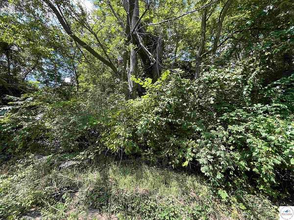 0.17 Acres of Land for Sale in Sedalia, Missouri