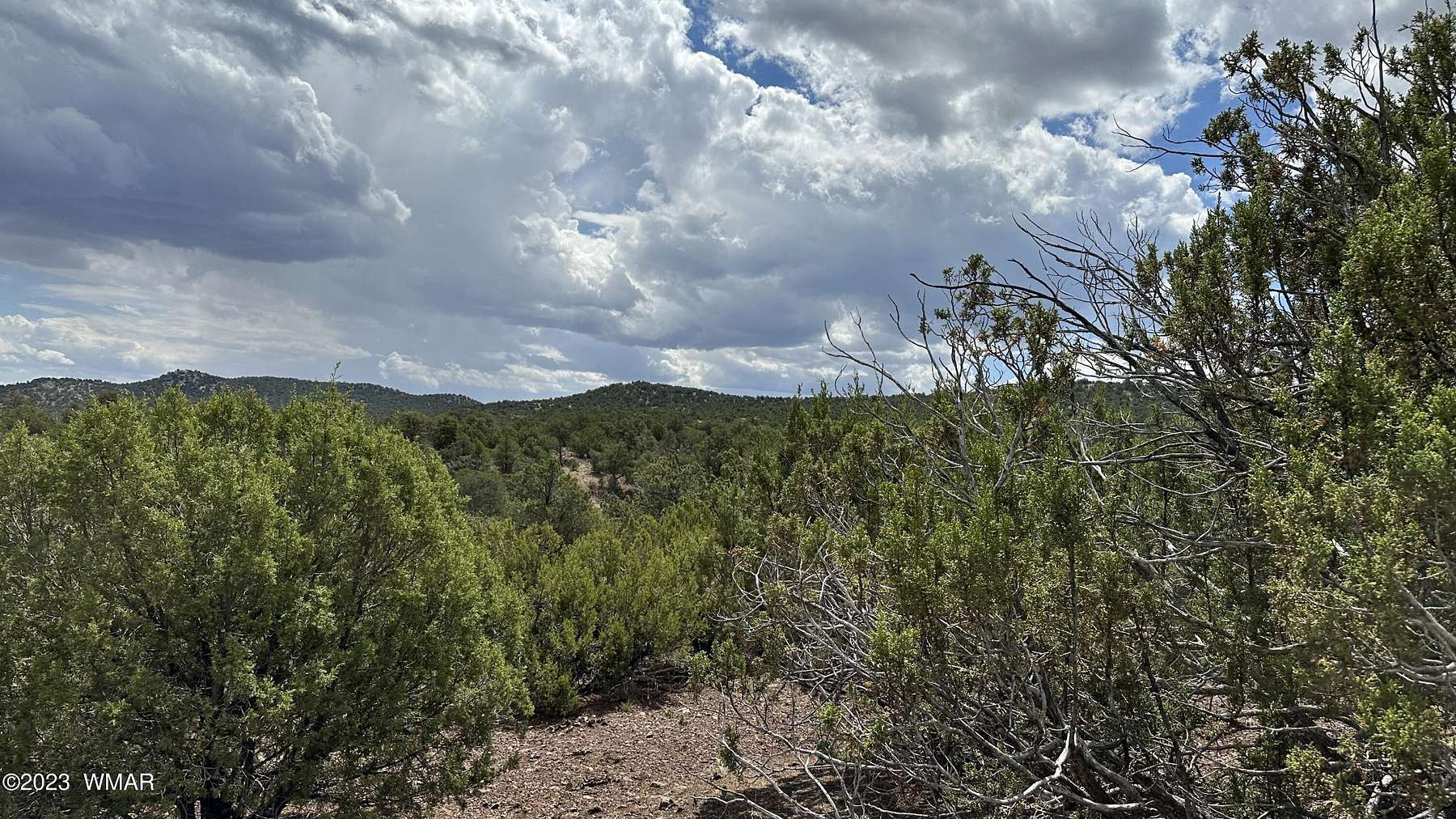 63.1 Acres of Agricultural Land for Sale in Concho, Arizona