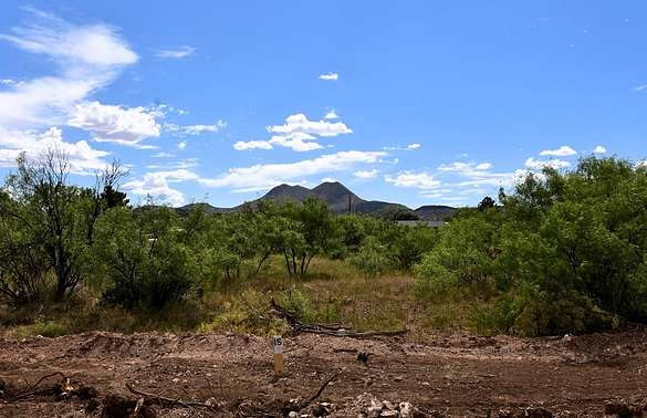 1 Acre of Residential Land for Sale in Alpine, Texas