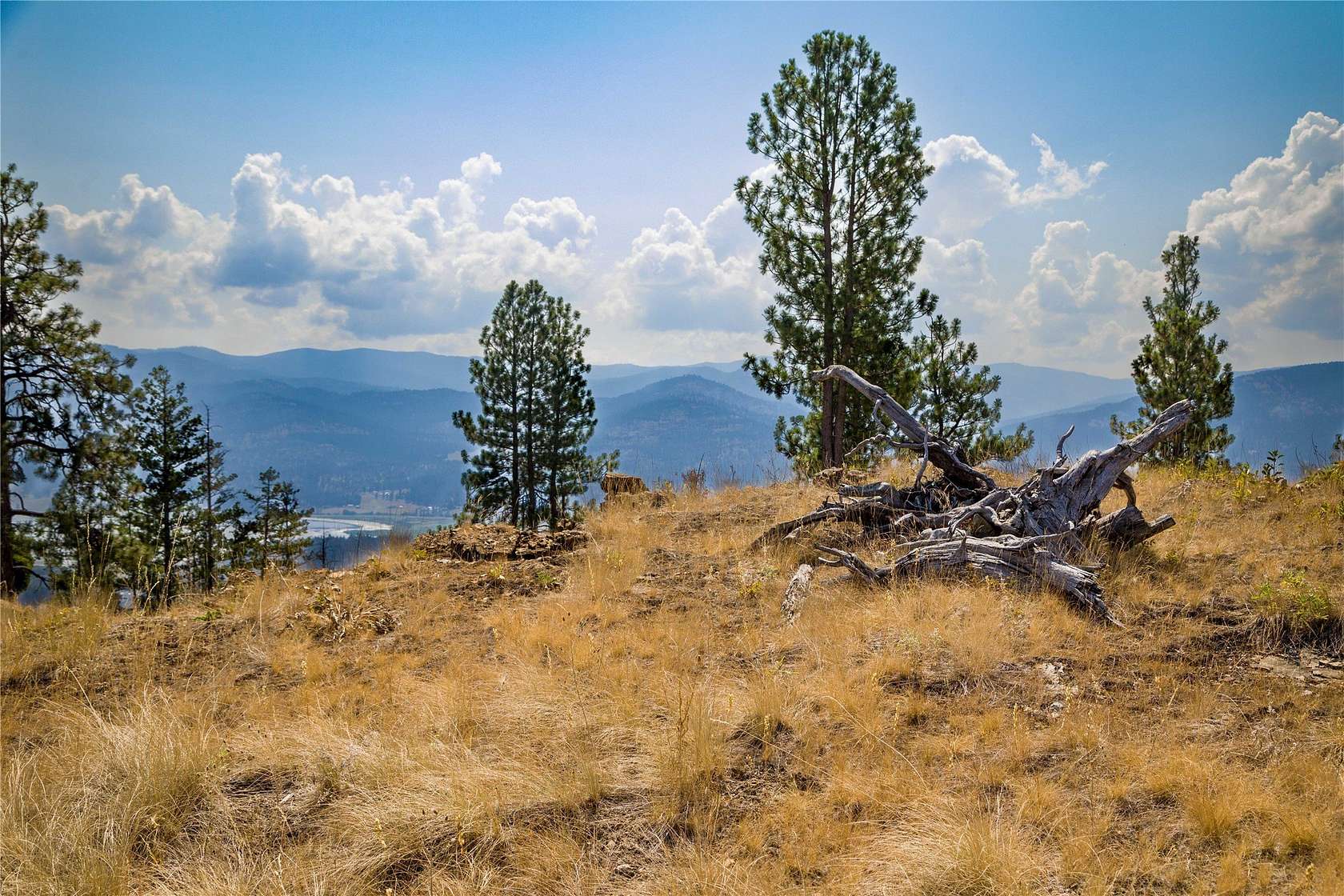 39.5 Acres of Recreational Land for Sale in Kila, Montana