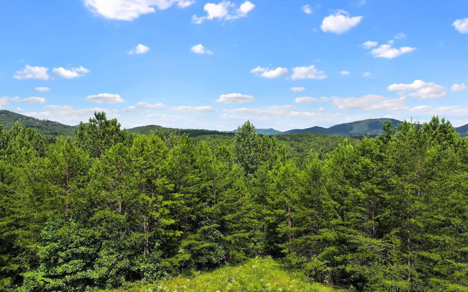 0.97 Acres of Land for Sale in Mineral Bluff, Georgia