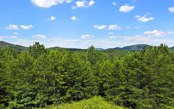 0.97 Acres of Land for Sale in Mineral Bluff, Georgia