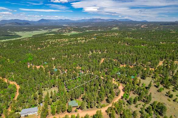 0.57 Acres of Residential Land for Sale in Florissant, Colorado