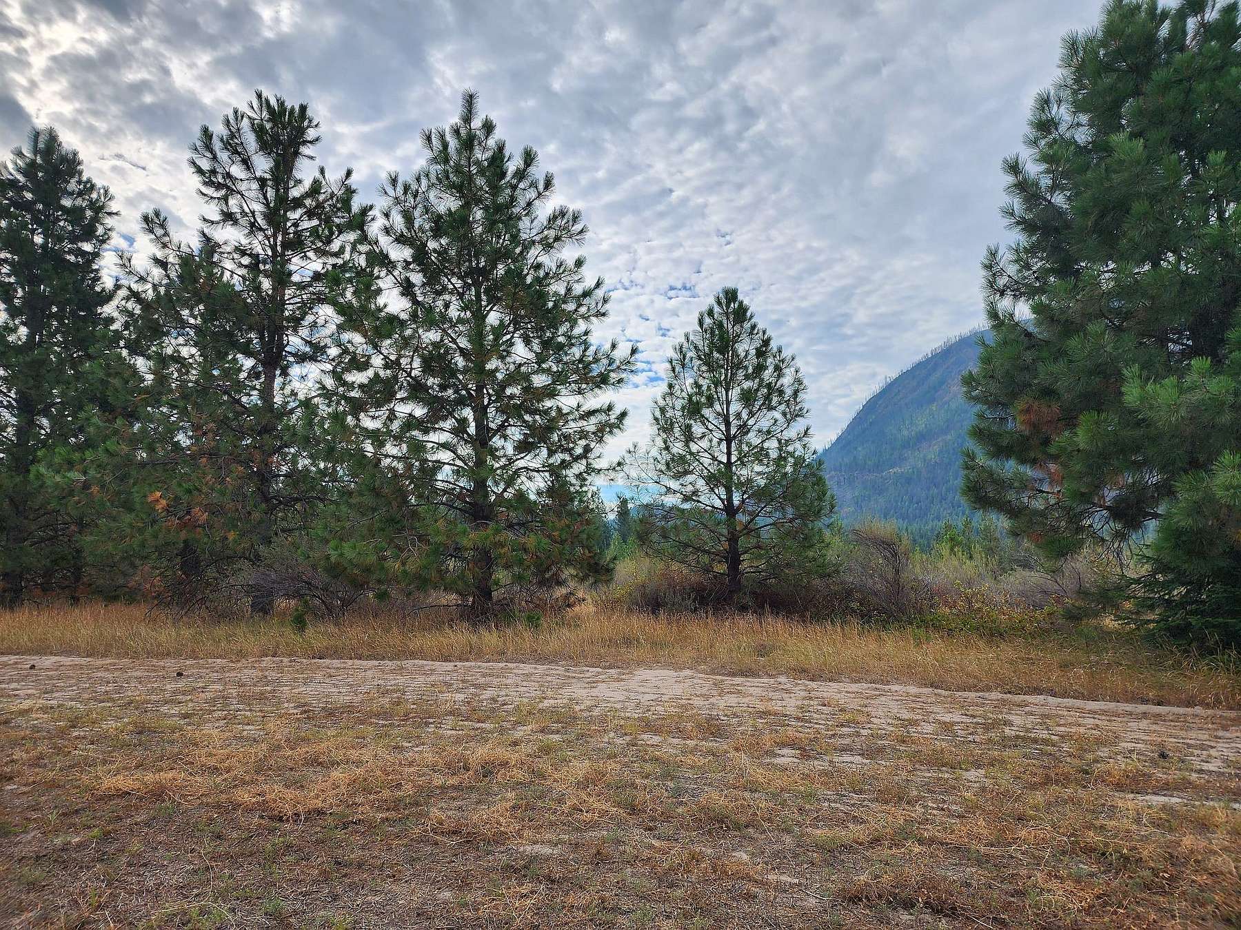 5.1 Acres of Residential Land for Sale in Plains, Montana