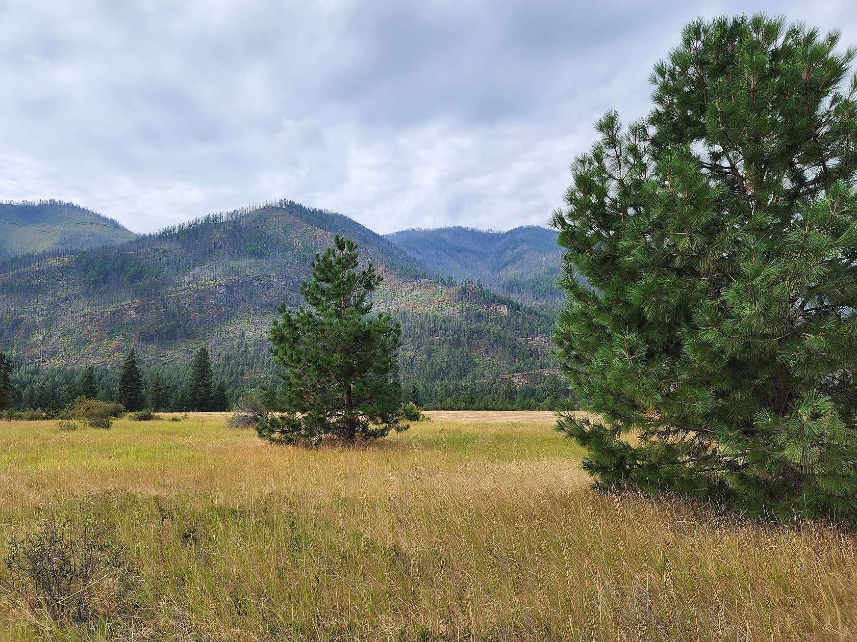 5.23 Acres of Land for Sale in Plains, Montana