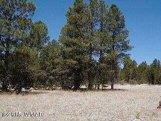 2.17 Acres of Residential Land for Sale in Overgaard, Arizona