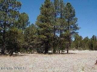 2.17 Acres of Residential Land for Sale in Overgaard, Arizona