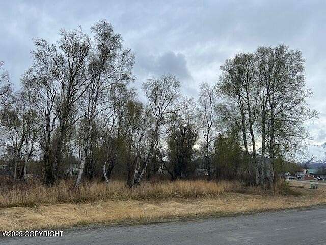 0.69 Acres of Residential Land for Sale in Palmer, Alaska